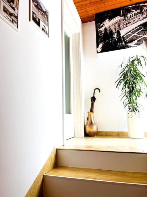 Apartma Kenda Bled Kültér fotó